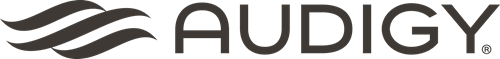 Audigy Group